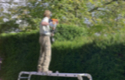 Gardener Farnham Hedge Pruning / Trimming