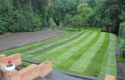 Gardener Farnham Soft Landscaping