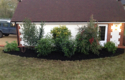Landscaper Garden Planting Border Screening