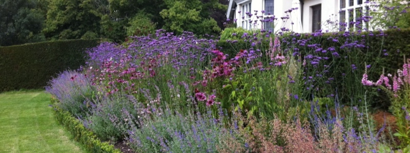 Gardener Plant & Border Maintenance