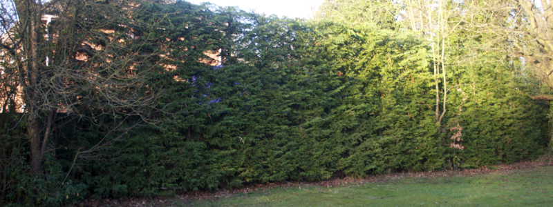 Gardener Periodic Maintenance