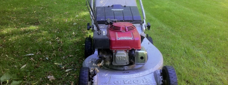 Gardener Farnham Landscaping