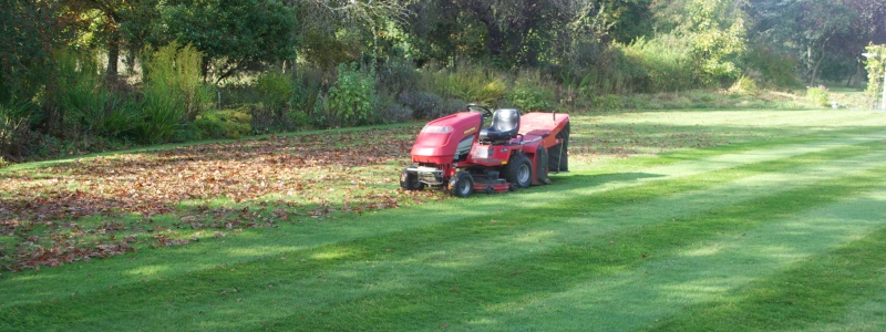 Gardener Farnham Landscaping